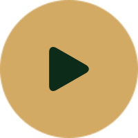 play-btn play-btn